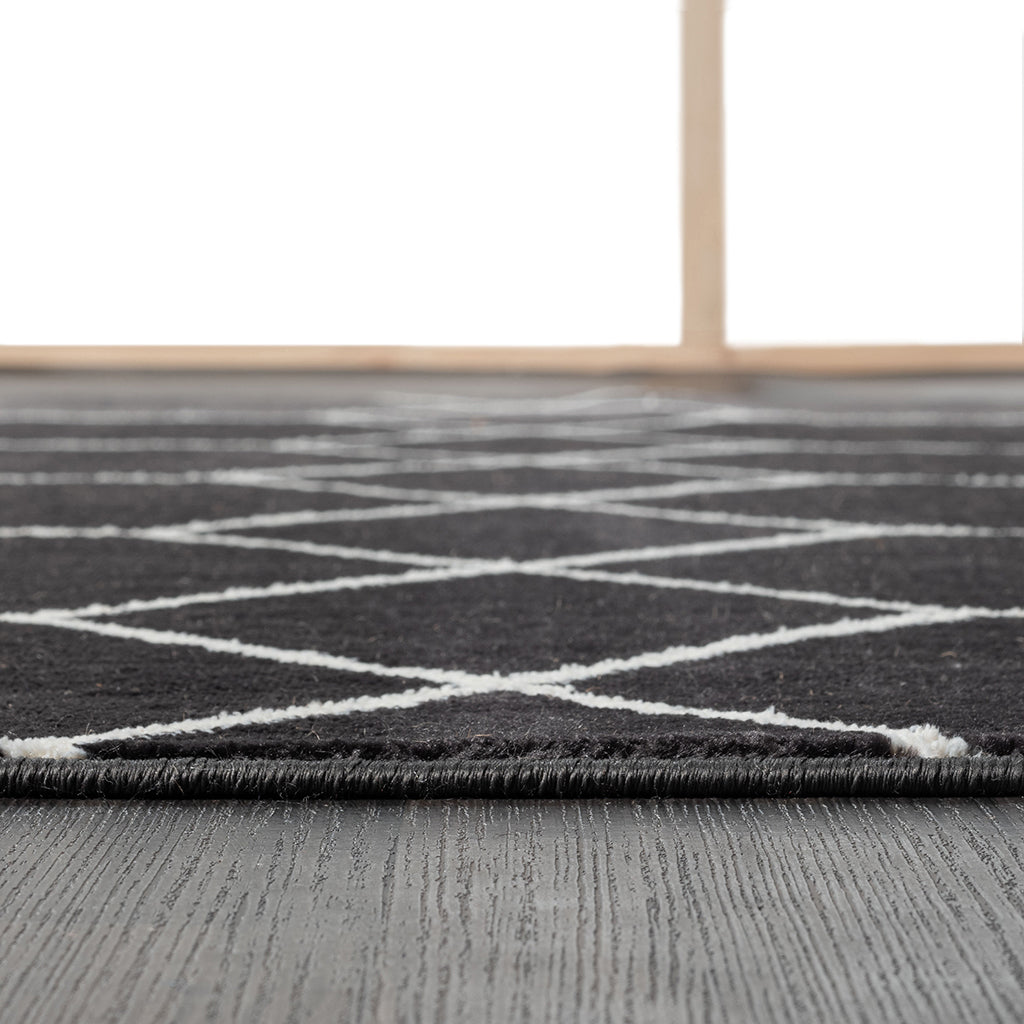 Trellis Geometric Woven Area Rug (10' ft x 8' ft)