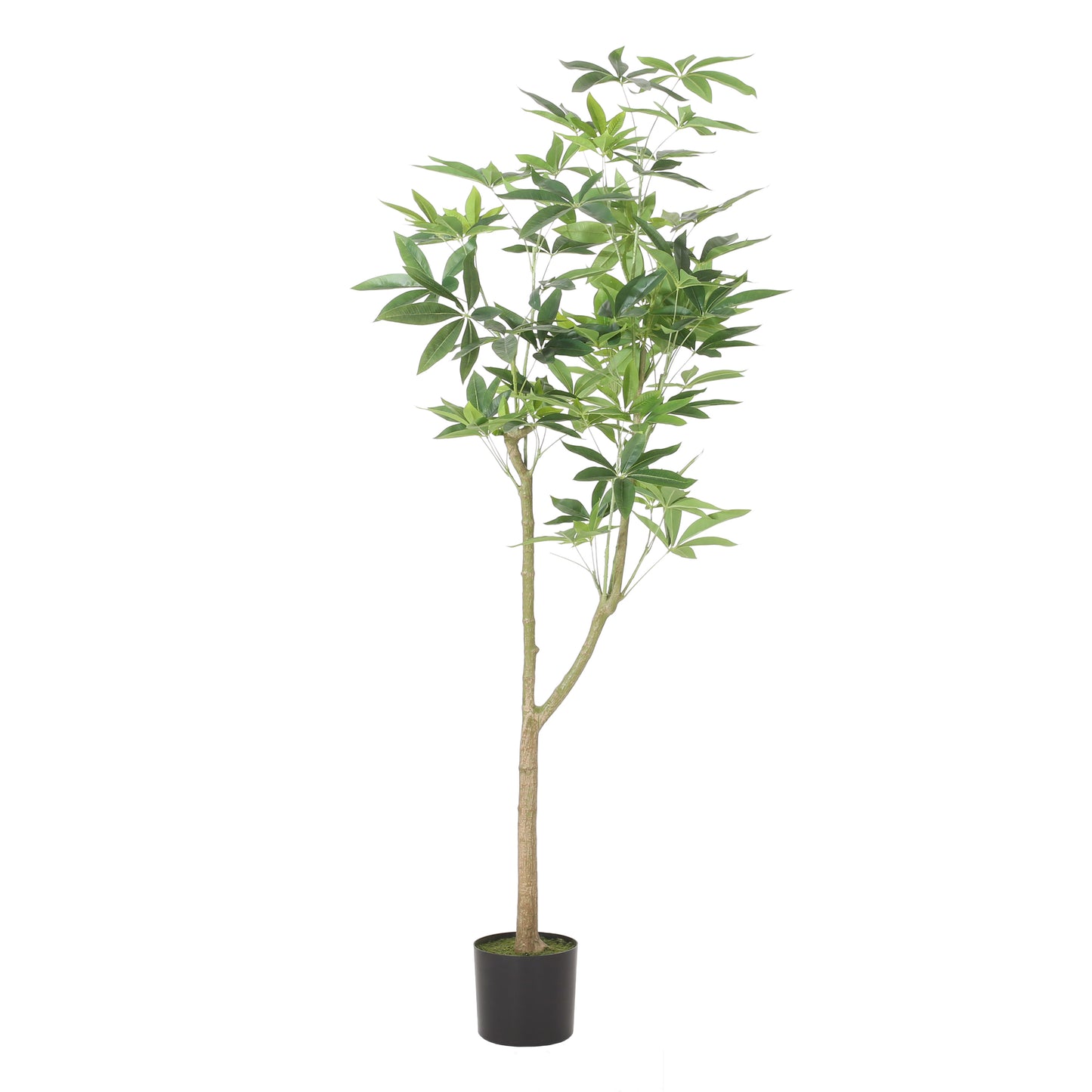 180CM ARTIFICIAL PACHIRA MACROCARPA