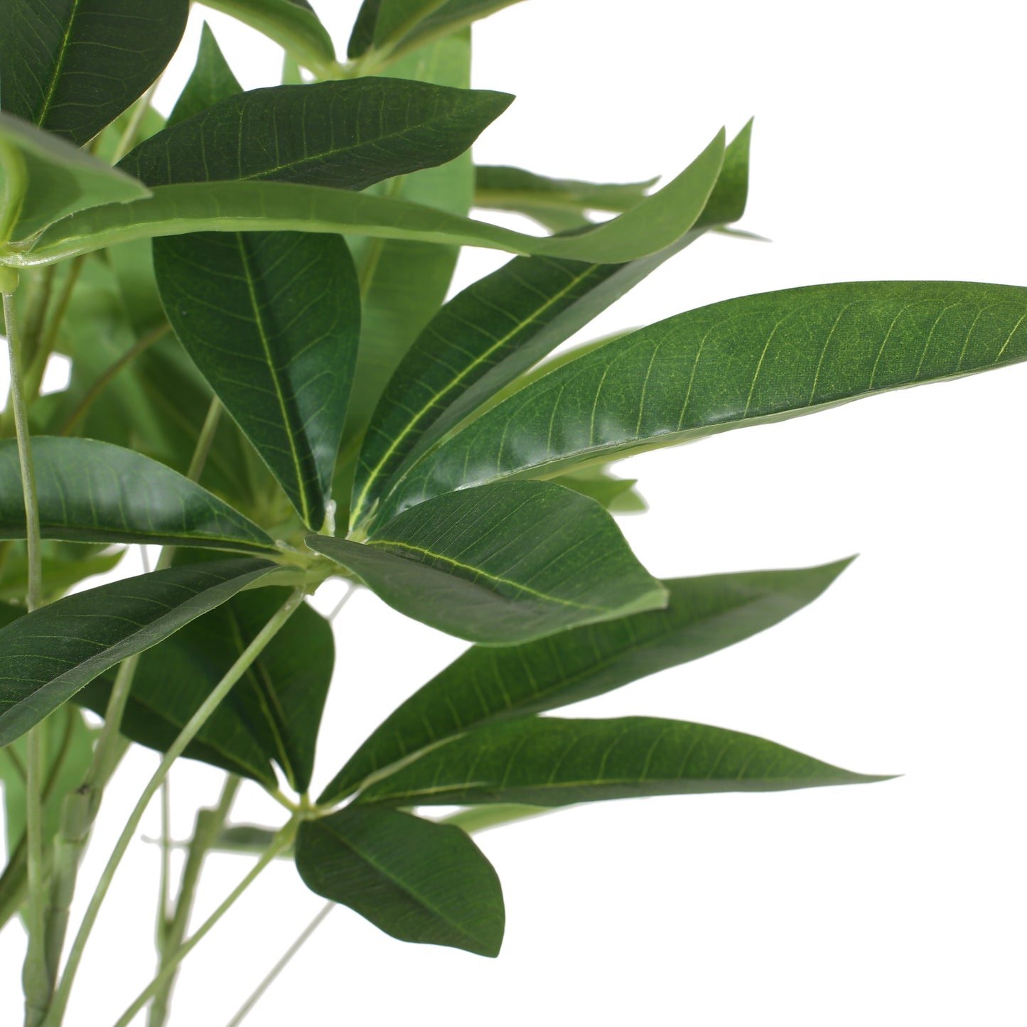 180CM ARTIFICIAL PACHIRA MACROCARPA