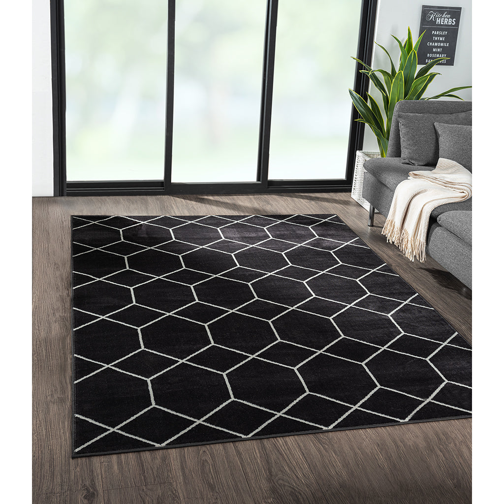 Trellis Geometric Woven Area Rug (10' ft x 8' ft)