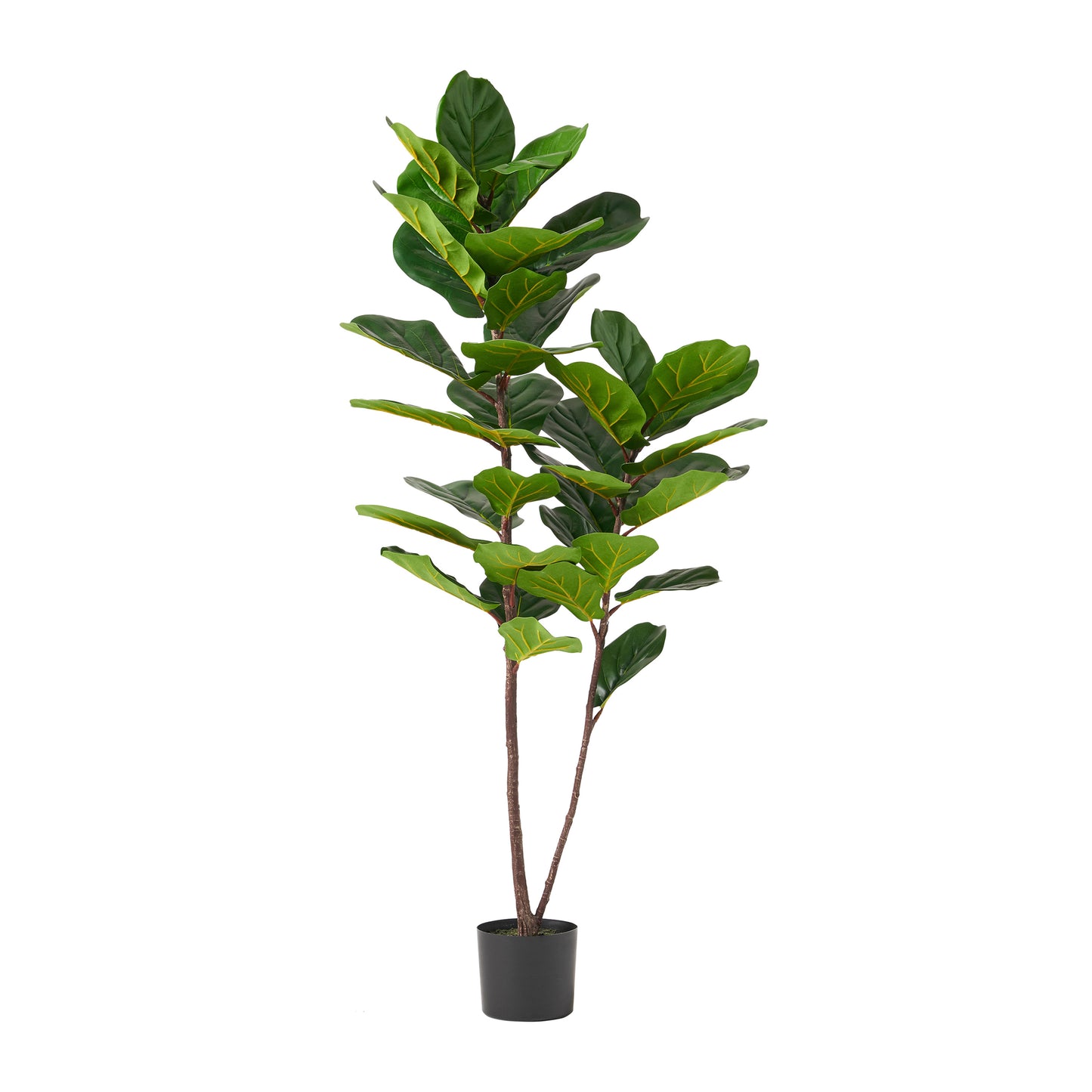 150CM ARTIFICIAL FIDDLE LEAF FIG TREE