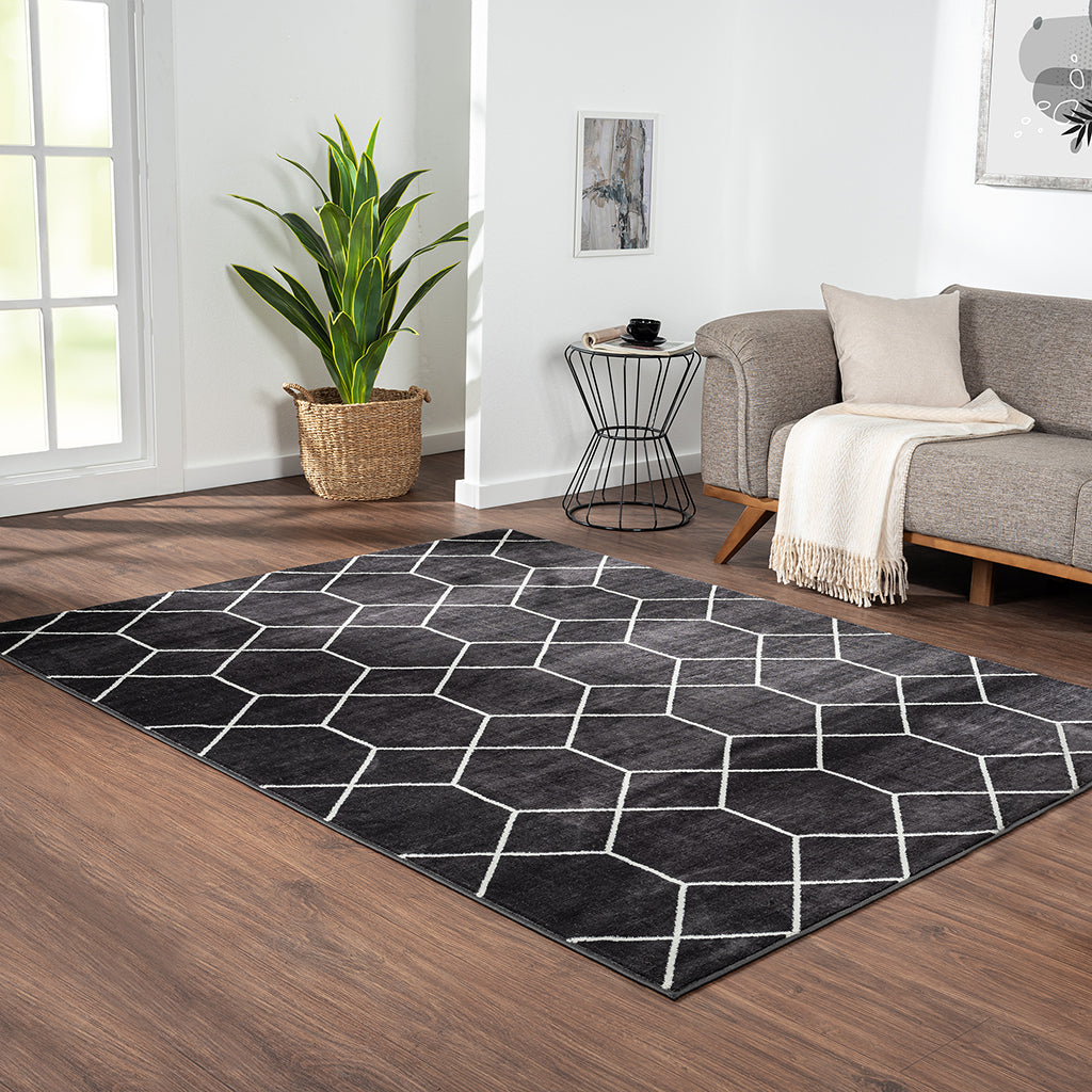 Trellis Geometric Woven Area Rug (10' ft x 8' ft)