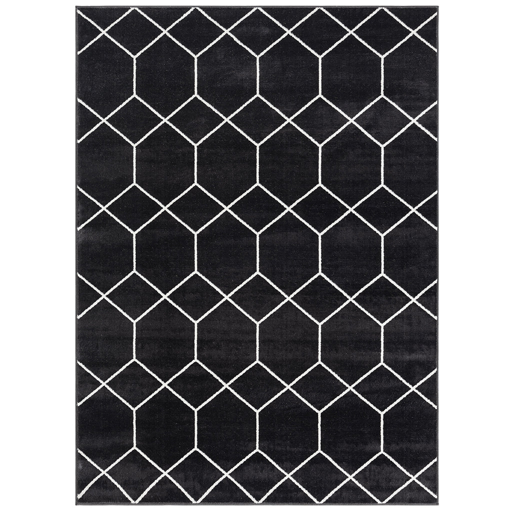 Trellis Geometric Woven Area Rug (10' ft x 8' ft)