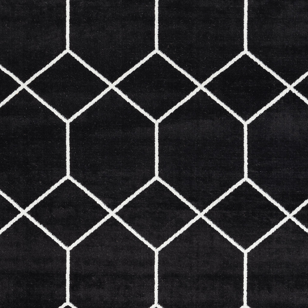 Trellis Geometric Woven Area Rug (10' ft x 8' ft)
