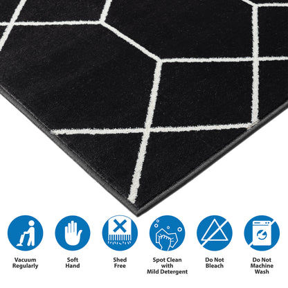 Trellis Geometric Woven Area Rug (10' ft x 8' ft)