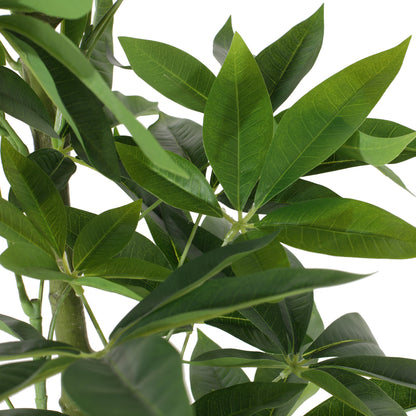 160CM ARTIFICIAL PACHIRA MACROCARPA