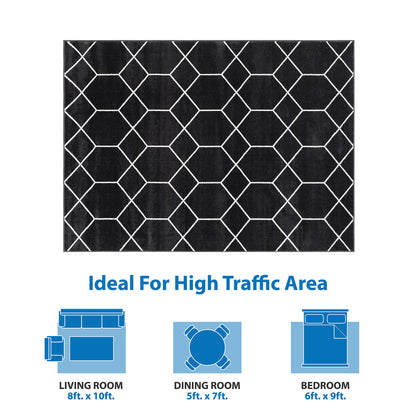 Trellis Geometric Woven Area Rug (10' ft x 8' ft)