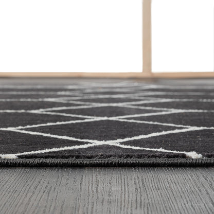 Trellis Geometric Woven Area Rug (10' ft x 8' ft)