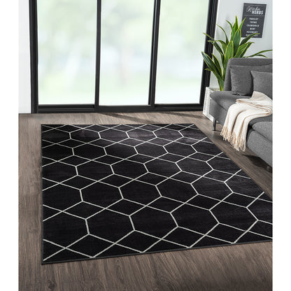 Trellis Geometric Woven Area Rug (10' ft x 8' ft)