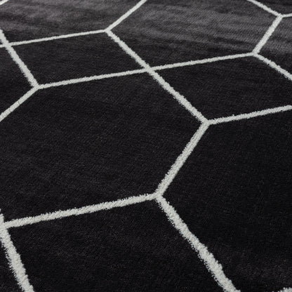 Trellis Geometric Woven Area Rug (10' ft x 8' ft)