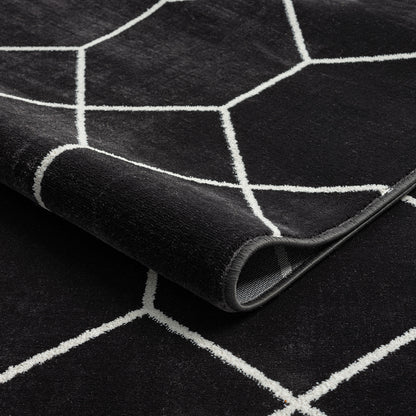 Trellis Geometric Woven Area Rug (10' ft x 8' ft)