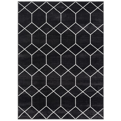 Trellis Geometric Woven Area Rug (10' ft x 8' ft)