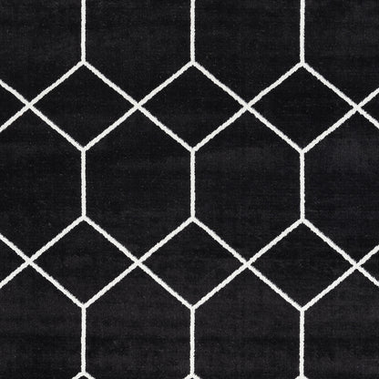 Trellis Geometric Woven Area Rug (10' ft x 8' ft)
